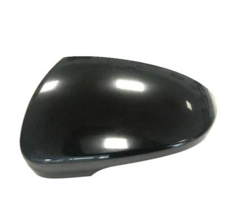 Carcasa de retrovisor...