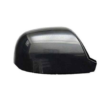 Carcasa de retrovisor...