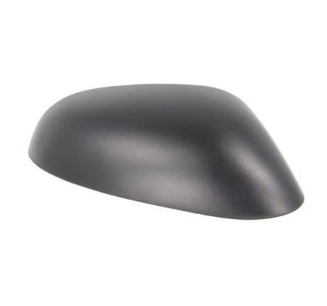 Carcasa de retrovisor...
