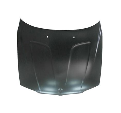 copia de Capó delantero BMW X3 (E83) 2004-2010