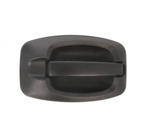 Maneta / Manilla de puerta...